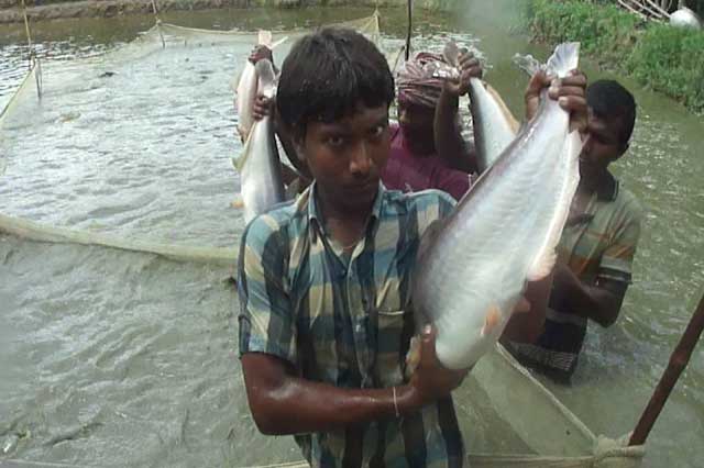 State Fisheries Development Corporation Ltd. (SFDC)